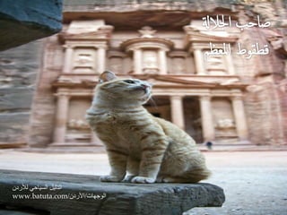 الدليل السياحي للأردن 
www.batuta.com/ الوجهات/الأردن 
 