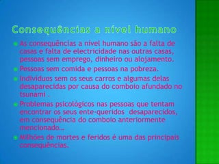 Consequências a nível humano As consequências a nível humano são a falta de casas e falta de electricidade nas outras casas, pessoas sem emprego, dinheiro ou alojamento. Pessoas sem comida e pessoas na pobreza.  Indivíduos sem os seus carros e algumas delas desaparecidas por causa do comboio afundado no tsunami . Problemas psicológicos nas pessoas que tentam encontrar os seus ente-queridos  desaparecidos, em consequência do comboio anteriormente mencionado…Milhões de mortes e feridos é uma das principais consequências.