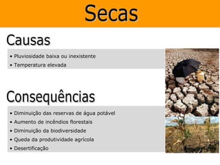 • Pluviosidade baixa ou inexistente
• Temperatura elevada




• Diminuição das reservas de água potável
• Aumento de incêndios florestais
• Diminuição da biodiversidade
• Queda da produtividade agrícola
• Desertificação
 