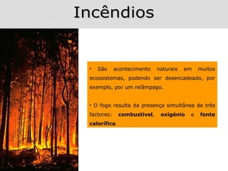 •   São     acontecimento    naturais   em   muitos
ecossistemas, podendo ser desencadeado, por
exemplo, por um relâmpago.


• O fogo resulta da presença simultânea de três
factores:     combustível,    oxigénio   e   fonte
calorífica.
 