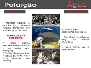 CAUSAS                      CONSEQUÊNCIAS



• Actividade industriais e
agrícolas, bem como águas
residuais provenientes dos
                                • Eutrofização dos
aglomerados populacionais.
                                ecossistemas de água doce.

    POLUENTES MAIS
                                • Acumulação de resíduos ao
     FREQUENTES:
                                longo       das      cadeias
                                alimentares.
       Matéria      orgânica
(frequente em meios urbanos
                                • Efeitos negativos sobre a
e     em     regiões    agro-
                                saúde humana.
industriais)
 Fosfatos (dos detergentes)
 Petróleo (ou crude, muitas
vezes      derramado      nos
oceanos)
 