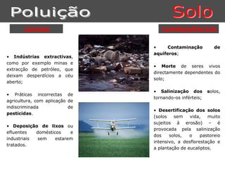 CAUSAS                      CONSEQUÊNCIAS


                                •     Contaminação          de
                                aquíferos;
• Indústrias extractivas,
como por exemplo minas e
                                • Morte de seres vivos
extracção de petróleo, que
                                directamente dependentes do
deixam desperdícios a céu
                                solo;
aberto;

                                • Salinização dos        solos,
• Práticas incorrectas de
                                tornando-os inférteis;
agricultura, com aplicação de
indiscriminada             de
                                • Desertificação dos solos
pesticidas.
                                (solos   sem    vida,   muito
                                sujeitos à erosão) – é
• Deposição de lixos ou
                                provocada pela salinização
efluentes   domésticos    e
                                dos    solos,   o    pastoreio
industriais sem     estarem
                                intensivo, a desflorestação e
tratados.
                                a plantação de eucaliptos.
 