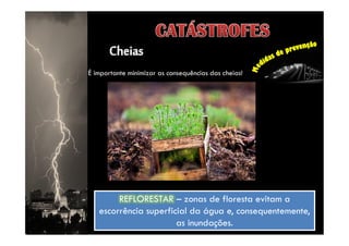É importante minimizar as consequências das cheias!
by Ana Kastro
REFLORESTAR – zonas de floresta evitam a
escorrência superficial da água e, consequentemente,
as inundações.
REFLORESTAR – zonas de floresta evitam a
escorrência superficial da água e, consequentemente,
as inundações.
 