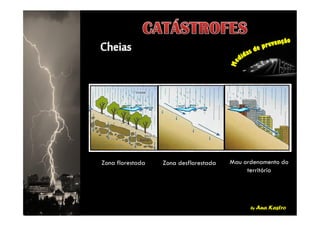 by Ana Kastro
Zona desflorestada Mau ordenamento do
território
Zona florestada
 