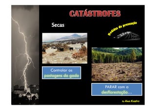 by Ana Kastro
Controlar as
pastagens do gado
Controlar as
pastagens do gado
PARAR com a
desflorestação…
PARAR com a
desflorestação…
 