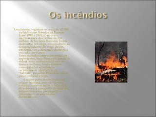 Anualmente, registam-se cerca de  45 000 incêndios nas florestas da Europa. Entre 1989 e 1993, só na zona mediterrânica do continente, 2,6 milhões de hectares florestais foram destruídos pelo fogo, o equivalente ao desaparecimento do mapa de um território com a dimensão da Bélgica em cada cinco anos...  Esses incêndios provocam prejuízos importantes, tanto humanos (perda de vidas) como ambientais (danos na fauna e na flora), tendo também consequências económicas consideráveis : destruição de "habitats", prejuízos florestais, custos para combater o fogo...  A maior parte desses fogos têm origem humana, mas são factores naturais, como as secas, a velocidade do vento ou a topografia do local que influenciam a sua propagação e determinam os seus efeitos devastadores. 