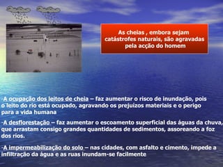 As cheias , embora sejam  catástrofes naturais, são agravadas pela acção do homem A ocupação dos leitos de cheia  – faz aumentar o risco de inundação, pois o leito do rio está ocupado, agravando os prejuízos materiais e o perigo para a vida humana A impermeabilização do solo  – nas cidades, com asfalto e cimento, impede a  infiltração da água e as ruas inundam-se facilmente  A desflorestação  – faz aumentar o escoamento superficial das águas da chuva, que arrastam consigo grandes quantidades de sedimentos, assoreando a foz  dos rios. 