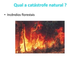 Qual a catástrofe natural ?
• Incêndios florestais
 