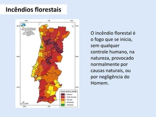 O incêndio florestal é
o fogo que se inicia,
sem qualquer
controle humano, na
natureza, provocado
normalmente por
causas naturais, ou
por negligência do
Homem.
Incêndios florestais
 