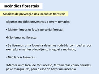 Incêndios florestais
Medidas de prevenção dos incêndios florestais
Algumas medidas preventivas a serem tomadas:
• Manter limpos os locais perto da floresta;
•Não fumar na floresta;
• Se fizermos uma fogueira devemos rodeá-la com pedras por
exemplo, e manter o local junto à fogueira molhado;
• Não lançar foguetes.
•Manter num local de fácil acesso, ferramentas como enxadas,
pás e mangueiras, para o caso de haver um incêndio.
 
