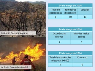 Incêndio florestal Algarve
Incêndio florestal na Covilhã
24 de março de 2014
Total de
ocorrências
Bombeiros
disponíveis
Veículos
8 50 13
24 de março de 2014
Ocorrências
diurnas
Missões meios
aéreos
5 0
25 de março de 2014
Total de ocorrências
(desde as 00:00)
Em curso
5 0
 