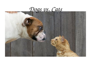 Dogs vs. Cats
 