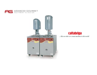 Cattabriga USA EFFE Presentation PPT