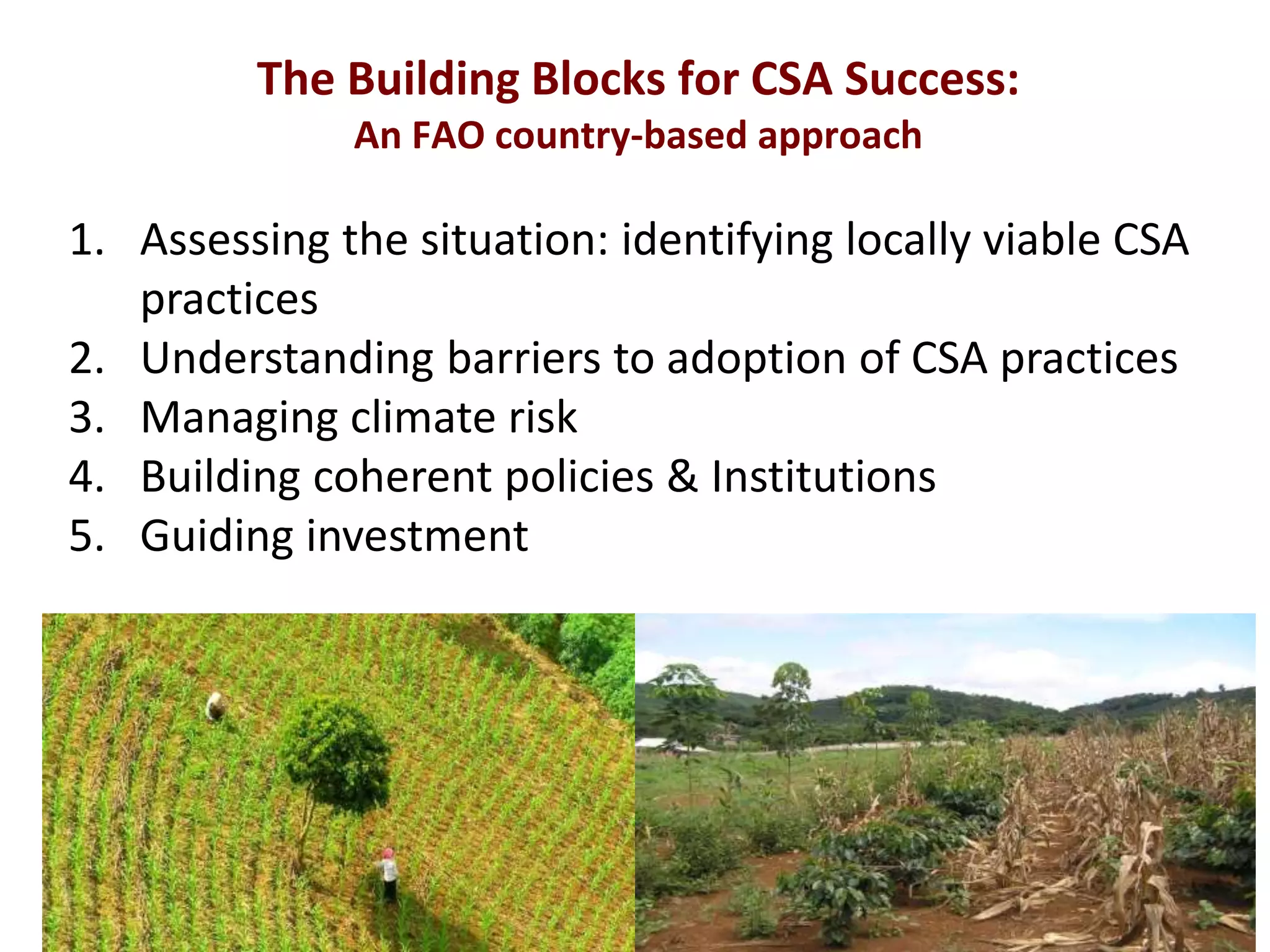 The Building Blocks for CSA Success:
An FAO country-based approach

1. Assessing the situation: identifying locally viable CSA
practices
2. Understanding barriers to adoption of CSA practices
3. Managing climate risk
4. Building coherent policies & Institutions
5. Guiding investment

 