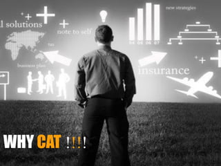 WHY CAT !!!!
 
