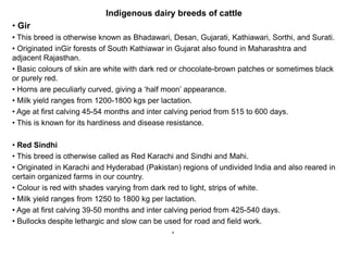 Indigenous dairy breeds of cattle
• Gir
• This breed is otherwise known as Bhadawari, Desan, Gujarati, Kathiawari, Sorthi, and Surati.
• Originated inGir forests of South Kathiawar in Gujarat also found in Maharashtra and
adjacent Rajasthan.
• Basic colours of skin are white with dark red or chocolate-brown patches or sometimes black
or purely red.
• Horns are peculiarly curved, giving a ‘half moon’ appearance.
• Milk yield ranges from 1200-1800 kgs per lactation.
• Age at first calving 45-54 months and inter calving period from 515 to 600 days.
• This is known for its hardiness and disease resistance.
• Red Sindhi
• This breed is otherwise called as Red Karachi and Sindhi and Mahi.
• Originated in Karachi and Hyderabad (Pakistan) regions of undivided India and also reared in
certain organized farms in our country.
• Colour is red with shades varying from dark red to light, strips of white.
• Milk yield ranges from 1250 to 1800 kg per lactation.
• Age at first calving 39-50 months and inter calving period from 425-540 days.
• Bullocks despite lethargic and slow can be used for road and field work.
•
 