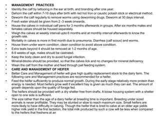 • MANAGEMENT PRACTICES
• Identity the calf by tattooing in the ear at birth, and branding after one year.
• Dehorn the calf within 7-10 days after birth with red hot Iron or caustic potash stick or electrical method.
• Deworm the calf regularly to remove worms using deworming drugs. Deworm at 30 days interval.
• Fresh water should be given from 2 -3 week onwards.
• House the calves in individual calf pens for 3 months afterwards in groups. After six months males and
females calves should be housed separately.
• Weigh the calves at weekly interval upto 6 months arid at monthly interval afterwards to know the
growth rate.
• Mortality in calves is more in first month due to pneumonia. Diarrhea (calf scous) and worms.
• House them under warm condition, clean condition to avoid above condition.
• Extra teats beyond 4 should be removed at 1-2 months of age.
• 8-9 weeks of age, males should be castrated.
• Keep the body clean and dry to avoid fungal infection.
• Mineral-blocks should be provided, so that the calves lick and no changes for mineral deficiency.
• Wean the calf from the mother and feed through pail feeding system.
• CARE AND MANAGEMENT OF HEIFER
• Better Care and Management of heifer will give high quality replacement stock to the dairy farm. The
following care and Management practices are recommended for a heifer.
• Feed the heifer sufficiently to produce normal growth. During the early stage relatively more protein than
energy is needed. Most heifers grow well if excellent hay is given as much they can eat. The amount of
growth depends upon the quality of forage fed.
• The heifers should be provided with a dry shelter free from drafts. A loose housing system with a shelter
open to one side is sufficient.
• The size rather than the age of a dairy heifer at breeding time is important. Breeding under sized
animals is never profitable. They may be stunted or slow to reach maximum size. Small heifers are
more likely to have difficulty in calving. Though the heifer that is bred to calve at an older age yields
higher milk yield in the first lactation, the total milk produced by such a cow will be less when compared
to the heifers that freshens at an
 
