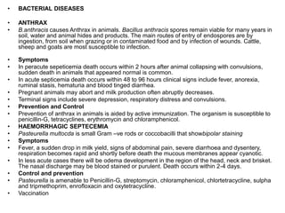 • BACTERIAL DISEASES
• ANTHRAX
• B.anthracis causes Anthrax in animals. Bacillus anthracis spores remain viable for many years in
soil, water and animal hides and products. The main routes of entry of endospores are by
ingestion, from soil when grazing or in contaminated food and by infection of wounds. Cattle,
sheep and goats are most susceptible to infection.
• Symptoms
• In peracute sepeticemia death occurs within 2 hours after animal collapsing with convulsions,
sudden death in animals that appeared normal is common.
• In acute septicemia death occurs within 48 to 96 hours clinical signs include fever, anorexia,
ruminal stasis, hematuria and blood tinged diarrhea.
• Pregnant animals may abort and milk production often abruptly decreases.
• Terminal signs include severe depression, respiratory distress and convulsions.
• Prevention and Control
• Prevention of anthrax in animals is aided by active immunization. The organism is susceptible to
penicillin-G, tetracyclines, erythromycin and chloramphenicol.
• HAEMORRHAGIC SEPTECEMIA
• Pasteurella multocda is small Gram –ve rods or coccobacilli that showbipolar staining
• Symptoms
• Fever, a sudden drop in milk yield, signs of abdominal pain, severe diarrhoea and dysentery,
respiration becomes rapid and shortly before death the mucous membranes appear cyanotic.
• In less acute cases there will be odema development in the region of the head, neck and brisket.
The nasal discharge may be blood stained or purulent. Death occurs within 2-4 days.
• Control and prevention
• Pasteurella is amenable to Penicillin-G, streptomycin, chloramphenicol, chlortetracycline, sulpha
and tripmethoprim, enrofloxacin and oxytetracycline.
• Vaccination
 