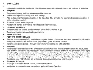• BRUCELLOSIS
•
Brucella abortus species are obligate intra cellular parasites and cause abortion in last trimester of pegnancy
• Symptoms
• The disease in cattle is almost always caused by B.abortus.
• The incubation period is usually from 30 to 60 days.
• After bacteraemia the infection localizes in the placentae, if the animal is not pregnant, the infection localizes in
udder (interstitial mastitis).
• In the bull, orchitis and epididymitis.
• Abortion at 6 months and retained placentae are the cardinal signs.
• Prevention and control
• The attenuated live vaccine is used in female calves 4 to 12 months of age.
• The adjuvant bacterins is used as booster vaccine.
• VIRAL DISEASES
• FOOT AND MOUTH DISEASE
• Foot and mouth disease (FMD) is the most contagious disease of mammals and cause severe economic loss in
susceptible cloven-hoofed animals (cattle, pigs, sheep, goats, and water buffalo).
• Transmission : Direct contact : Through water : manure : Pasture and cattle attendant
• Symptoms
• The disease is characterised by the formation of vesicles (fluid-filled blisters) and erosions in the mouth, nose,
teats and feet. Initial signs are pyrexia (39.4-40.6ºC), dullness, anorexia, and fall in milk production. These signs
are followed by excessive salivation; drooling, serous nasal discharge; shaking, kicking of the feet or lameness;
and vesicle (blister) formation in the tongue, dental pad, gums, soft palate, nostrils, muzzle, interdigital space,
coronary band, and teats. Pregnant cows may abort, and young calves may die without developing any vesicle.
The course of an FMD infection is 2 to 3 weeks. Secondary infection may delay recovery.
• Prevention & Control :
• Thorough disinfection of shed, utensils, clothes of attendants.
• Vaccination – polyvalent – once – 4months or varies with type of vaccine
 
