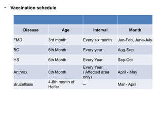• Vaccination schedule
Disease Age Interval Month
FMD 3rd month Every six month Jan-Feb, June-July
BG 6th Month Every year Aug-Sep
HS 6th Month Every Year Sep-Oct
Anthrax 6th Month
Every Year
( Affected area
only)
April - May
Brucellosis
4-8th month of
Heifer
-- Mar - April
 