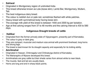 • Sahiwal
• Originated in Montgomery region of undivided India.
• This breed otherwise known as Lola (loose skin), Lambi Bar, Montgomery, Multani,
Teli.
• The best indigenous dairy breed.
• The colour is reddish dun or pale red, sometimes flashed with white patches.
• Heavy breed with symmetrical body having loose skin.
• The average milk yield of this breed is between 1400 and 2500 kg per lactation.
• Age at first calving ranges from 37 to 48 months and the calving interval is 430 to 580
days.
Indigenous Draught breeds of cattle
• Hallikar
• Originated from the former princely state of Vijayanagarm, presently part of Karnataka.
• The colour is grey or dark grey.
• They are compact, muscular and medium size animal with prominent forehead, long horns
and strong legs.
• The breed is best known for its draught capacity and especially for its trotting ability.
• Amritmahal
• Originated in Hassan, Chikmagalur and Chitradurga district of Karnataka.
• The Maharajahs of Mysore developed this breed.
• Amiritmahals are grey cattle but their shade varies from almost white to near black.
• The muzzle, feat and tail are usually black.
• Horns are long and end in sharp black points.
 