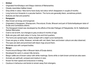 • Khillari
• Originated fromSholapur and Sitapur districts of Maharashtra.
• Closely resembles Hallikar breed.
• Grey-white in colour. New borns have dusty red colour which disappears in couple of months.
• Long horns turn forwards in a peculiar fashion. The horns are generally black, sometimes pinkish.
• Bullocks are fast and powerful.
• Kangayam
• Also known as kongu and konganad.
• Originated in Kangayam, Dharapuram, Perundurai, Erode, Bhavani and part of Gobichettipalayam taluk of
Erode and Coimbatore district.
• The Kangayam breed was developed by the efforts of the late Pattogar of Palayakottai, Sri N. Nallathambi
Sarkari Manradiar.
• Coat is red at birth, but changes to grey at about 6 months of age.
• Bulls are grey with dark colour in hump, fore and hind quarters.
• The horns are spread apart, nearly straight with a slight curve backwards.
• Cows are grey or white. However, animals with red, black, fawn and broken colours are also observed.
• The eyes are dark and prominent with black rings around them.
• Moderate size with compact bodies.
• Bargur
• Found around Bargur hills in Bhavani taluk of Erode district.
• Developed for work in uneven hilly terrains.
• Bargur cattle are of brown colour with white markings. Some white or dark brown animal are also seen.
• Animals are well built, compact and medium in size.
• Known for their speed and endurance in trotting.
• Cautious in behaviour and tends to remain away from strangers.
 