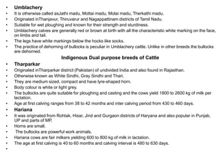 • Umblachery
• It is otherwise called asJathi madu, Mottai madu, Molai madu, Therkathi madu.
• Originated inThanjavur, Thiruvarur and Nagappattinam districts of Tamil Nadu.
• Suitable for wet ploughing and known for their strength and sturdiness.
• Umblachery calves are generally red or brown at birth with all the characteristic white marking on the face,
on limbs and tail.
• The legs have white markings below the hocks like socks.
• The practice of dehorning of bullocks is peculiar in Umblachery cattle. Unlike in other breeds the bullocks
are dehorned.
Indigenous Dual purpose breeds of Cattle
• Tharparkar
• Originated inTharparkar district (Pakistan) of undivided India and also found in Rajasthan.
• Otherwise known as White Sindhi, Gray Sindhi and Thari.
• They are medium sized, compact and have lyre-shaped horn.
• Body colour is white or light grey.
• The bullocks are quite suitable for ploughing and casting and the cows yield 1800 to 2600 kg of milk per
lactation.
• Age at first calving ranges from 38 to 42 months and inter calving period from 430 to 460 days.
• Hariana
• It was originated from Rohtak, Hisar, Jind and Gurgaon districts of Haryana and also popular in Punjab,
UP and parts of MP.
• Horns are small.
• The bullocks are powerful work animals.
• Hariana cows are fair milkers yielding 600 to 800 kg of milk in lactation.
• The age at first calving is 40 to 60 months and calving interval is 480 to 630 days.
•
 