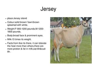 Jersey
    ●   place:Jersey island 
    ●   Colour:solid brown/ fawn/brown 
        splashed with white.
    ●   Weight:F­900­1200 pounds,M­1200­
        1800 pounds.
    ●   Body:broad face & prominent eyes.
    ●   Milk:13 times its wieght.
    ●   Facts:from 6ce its there, it can tolarate 
        the heat more than others,there are 
        more protien & fat in milk,eat­6h&cud­
        8h.




                                                      
 