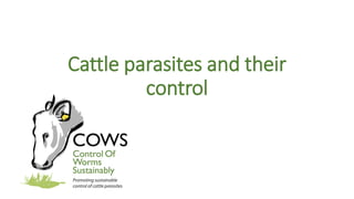 Cattle parasites and their
control
 