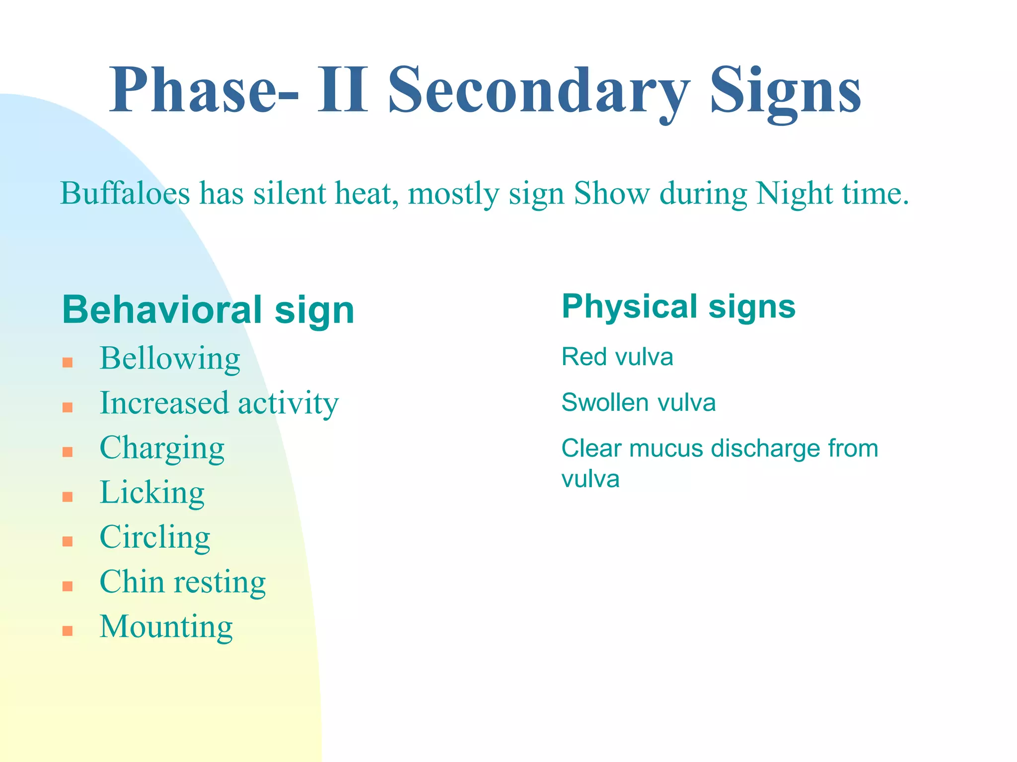 Phase- II Secondary Signs
Buffaloes has silent heat, mostly sign Show during Night time.
Behavioral sign
 Bellowing
 Increased activity
 Charging
 Licking
 Circling
 Chin resting
 Mounting
Physical signs
Red vulva
Swollen vulva
Clear mucus discharge from
vulva
 