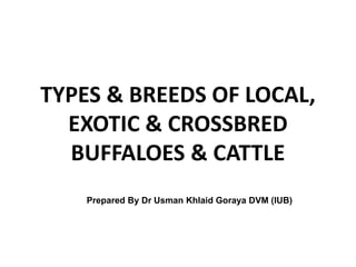 TYPES & BREEDS OF LOCAL,
EXOTIC & CROSSBRED
BUFFALOES & CATTLE
Prepared By Dr Usman Khlaid Goraya DVM (IUB)
 
