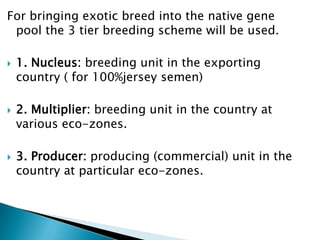 For bringing exotic breed into the native gene
pool the 3 tier breeding scheme will be used.






1. Nucleus: breeding unit in the exporting
country ( for 100%jersey semen)
2. Multiplier: breeding unit in the country at
various eco-zones.
3. Producer: producing (commercial) unit in the
country at particular eco-zones.

 