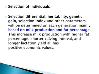 



Selection of individuals
Selection differential, heritability, genetic
gain, selection index and other parameters
will be determined on each generation mainly
based on milk production and fat percentage.
This increase milk production with higher fat
percentage, shorter calving interval, and
longer lactation yield all has
positive economic values.

 