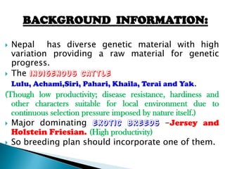 BACKGROUND INFORMATION:
Nepal has diverse genetic material with high
variation providing a raw material for genetic
progress.
 The indigenous cattle
Lulu, Achami,Siri, Pahari, Khaila, Terai and Yak.
(Though low productivity; disease resistance, hardiness and
other characters suitable for local environment due to
continuous selection pressure imposed by nature itself.)
 Major dominating exotic breeds -Jersey and
Holstein Friesian. (High productivity)
 So breeding plan should incorporate one of them.


 