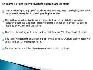 An example of genetic improvement program and its effect

 Lets consider grading up of local cattle breed say, local cattle(Siri) and exotic
cattle breed jersey for improving milk production
 The milk production traits are medium to high in heritability in cattle
indicating additive and non-additive genetic effect both. Progress can be
made by selection and breeding.
 The cross breeding will be carried to maintain 62.5% blood level of jersey.

 3 successive generations crossing of female with 100% pure jersey male will
be carried out at multiplier herd.
 Same procedure will be disseminated to commercial level

 