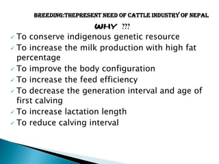 BREEDING:thepresent need of cattle industry of Nepal

Why ???
 To conserve indigenous genetic resource
 To increase the milk production with high fat
percentage
 To improve the body configuration
 To increase the feed efficiency
 To decrease the generation interval and age of
first calving
 To increase lactation length
 To reduce calving interval

 