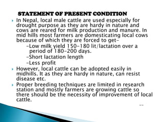 





STATEMENT OF PRESENT CONDITION
In Nepal, local male cattle are used especially for
drought purpose as they are hardy in nature and
cows are reared for milk production and manure. In
mid hills most farmers are domesticating local cows
because of which they are forced to get-Low milk yield 150-180 lit/lactation over a
period of 180-200 days.
-Short lactation length
-Less profit
However, local cattle can be adopted easily in
midhills. It as they are hardy in nature, can resist
disease etc.
Proper breeding techniques are limited in research
station and mostly farmers are growing cattle so
there should be the necessity of improvement of local
cattle.
--

 