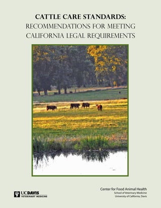 CATTLE CARE STANDARDS:
Recommendations for Meeting
California Legal Requirements
	
Center for Food Animal Health
School of Veterinary Medicine
University of California, Davis
 