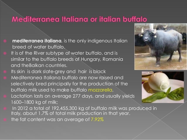 Cattle farming
