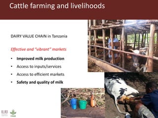 Cattle diseases in dairy herds in Tanzania: Farmers’ view and laboratory confirmation