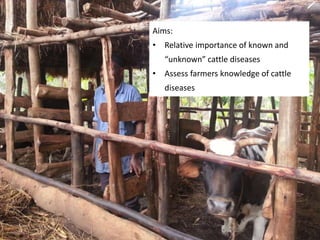 Cattle diseases in dairy herds in Tanzania: Farmers’ view and laboratory confirmation