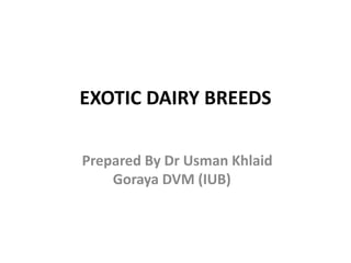 EXOTIC DAIRY BREEDS
Prepared By Dr Usman Khlaid
Goraya DVM (IUB)
 