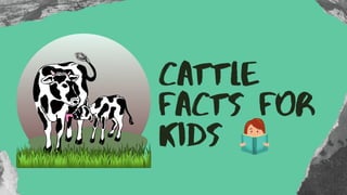 Cattle
Facts for
Kids
 