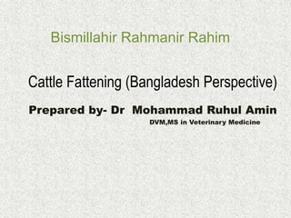 Cattle Fattening (Bangladesh Perspective)
Prepared by- Dr Mohammad Ruhul Amin
DVM,MS in Veterinary Medicine
Bismillahir Rahmanir Rahim
 