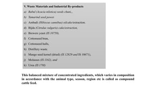 V. Waste Materials and Industrial By-products
a) Babul (Acacia nilotica) seeds chuni,,
b) Tamarind seed power.
c) Ambadi (Hibiscus cannibus) oilcake/extraction.
d) Bijda (Citrulus vulgaris) cake/extraction,
e) Brewers yeast (IS 10759),
f) Cottonseed bran,
g) Cottonseed hulls,
h) Distillery waste.
i) Mango seed kernel (dried) (IS 12829 and IS 10671),
j) Molasses (IS 1162), and
k) Urea (IS 178I)
This balanced mixture of concentrated ingredients, which varies in composition
in accordance with the animal type, season, region etc is called as compound
cattle feed.
 
