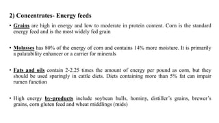 2) Concentrates- Energy feeds
• Grains are high in energy and low to moderate in protein content. Corn is the standard
energy feed and is the most widely fed grain
• Molasses has 80% of the energy of corn and contains 14% more moisture. It is primarily
a palatability enhancer or a carrier for minerals
• Fats and oils contain 2-2.25 times the amount of energy per pound as corn, but they
should be used sparingly in cattle diets. Diets containing more than 5% fat can impair
rumen function
• High energy by-products include soybean hulls, hominy, distiller’s grains, brewer’s
grains, corn gluten feed and wheat middlings (mids)
 