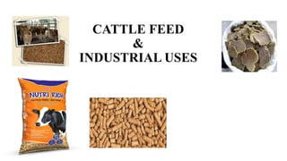 CATTLE FEED
&
INDUSTRIAL USES
 