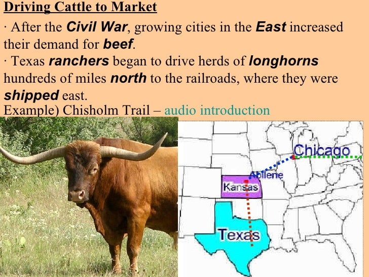 Cattle kingdom