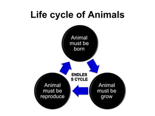 Life cycle of Animals
Animal
must be
born
Animal
must be
grow
Animal
must be
reproduce
 