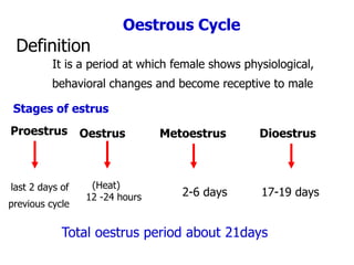 Oestrus Metoestrus Dioestrus
Oestrous Cycle
Definition
behavioral changes and become receptive to male
It is a period at which female shows physiological,
Stages of estrus
Proestrus
previous cycle
last 2 days of (Heat)
12 -24 hours 2-6 days 17-19 days
Total oestrus period about 21days
 